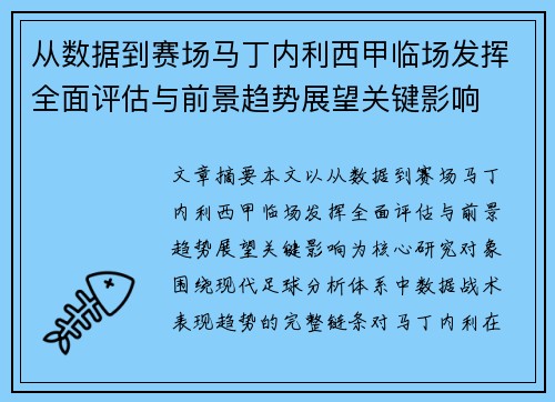 从数据到赛场马丁内利西甲临场发挥全面评估与前景趋势展望关键影响